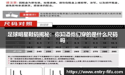 2026世界杯中文网站